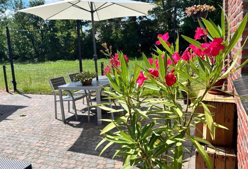 חדר דחוקס עם מיטת קינג, Bed And Breakfast De Beekhoek