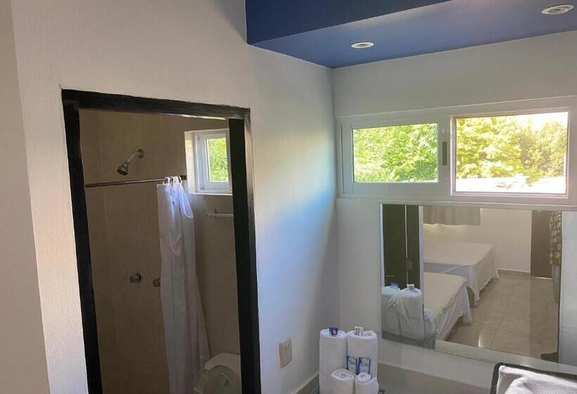 غرفة قياسية, La Ceiba