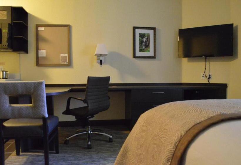 Номер Стандарт, Candlewood Suites San Antonio Airport, An Ihg