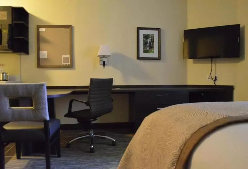 スタンダードルーム, Candlewood Suites San Antonio Airport, An Ihg