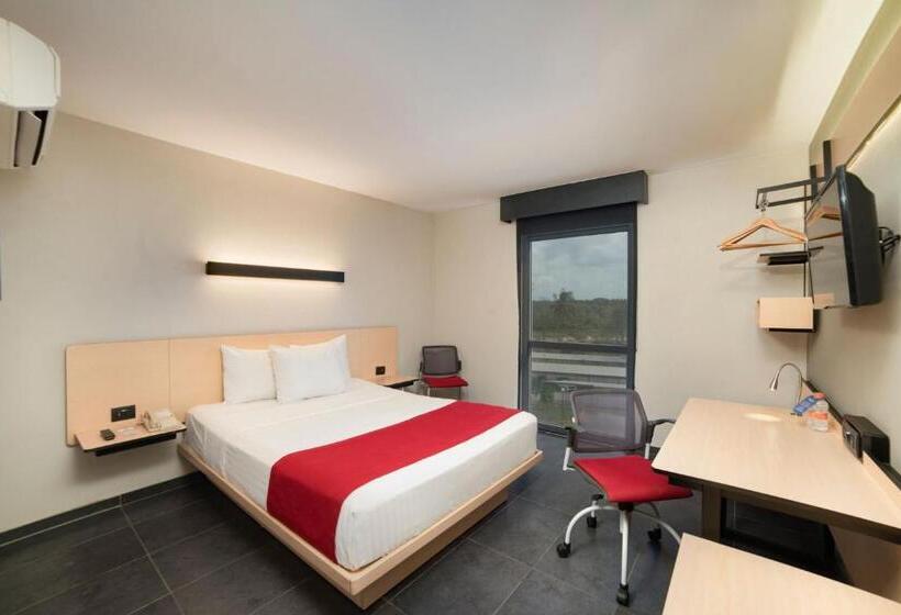 חדר סטנדרט, City Express By Marriott Paraiso