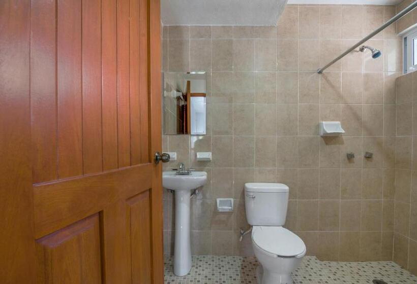 غرفة قياسية, OYO Hotel Palma Real