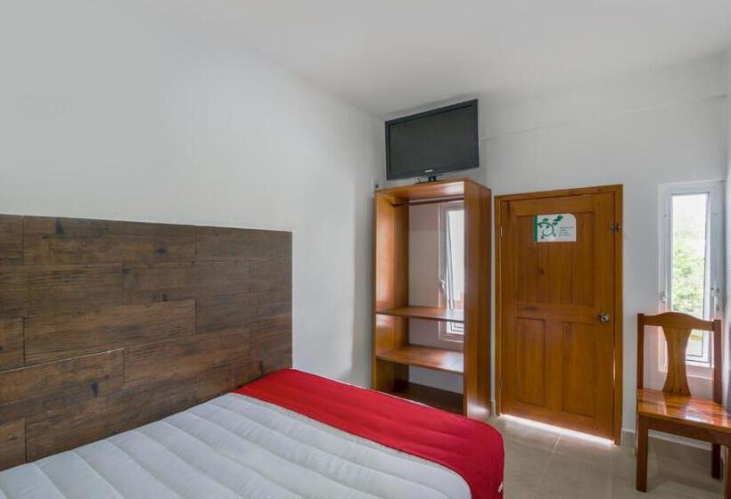 غرفة قياسية, OYO Hotel Palma Real