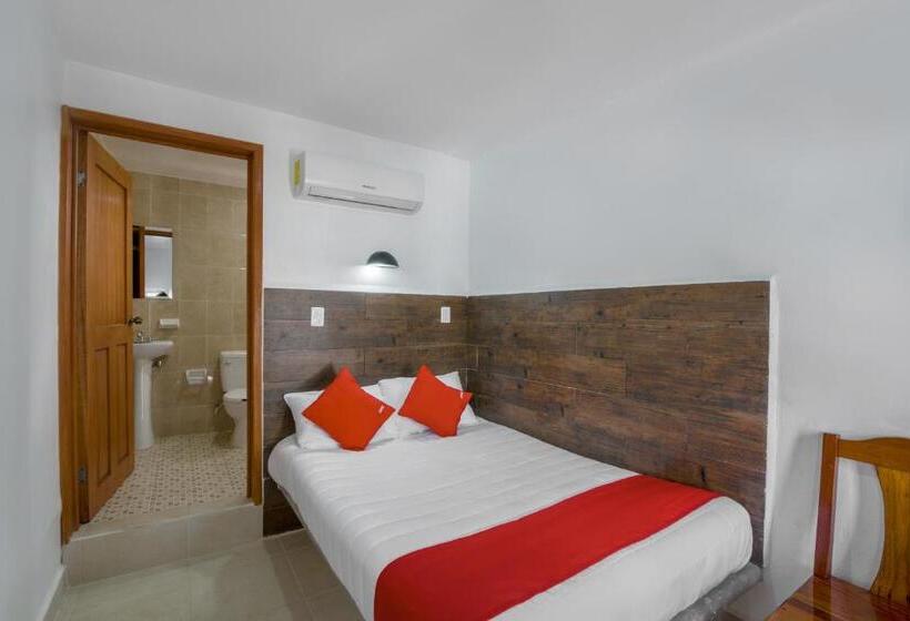 스탠다드 룸, OYO Hotel Palma Real