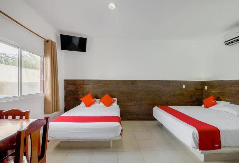 غرفة قياسية, OYO Hotel Palma Real