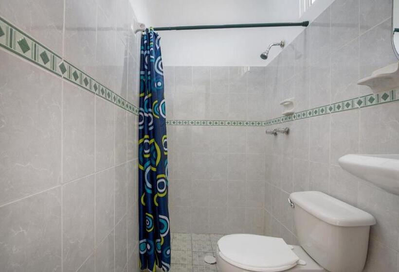 غرفة سوبيريور, OYO Hotel Palma Real