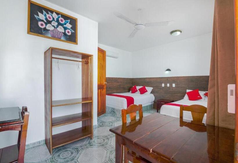 غرفة سوبيريور, OYO Hotel Palma Real