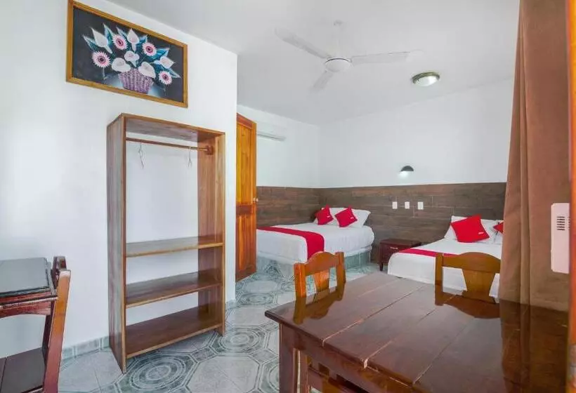 スーペリアールーム, OYO Hotel Palma Real
