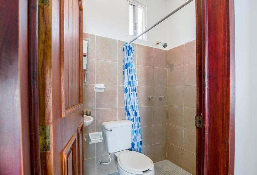 غرفة أساسية فردية, OYO Hotel Palma Real