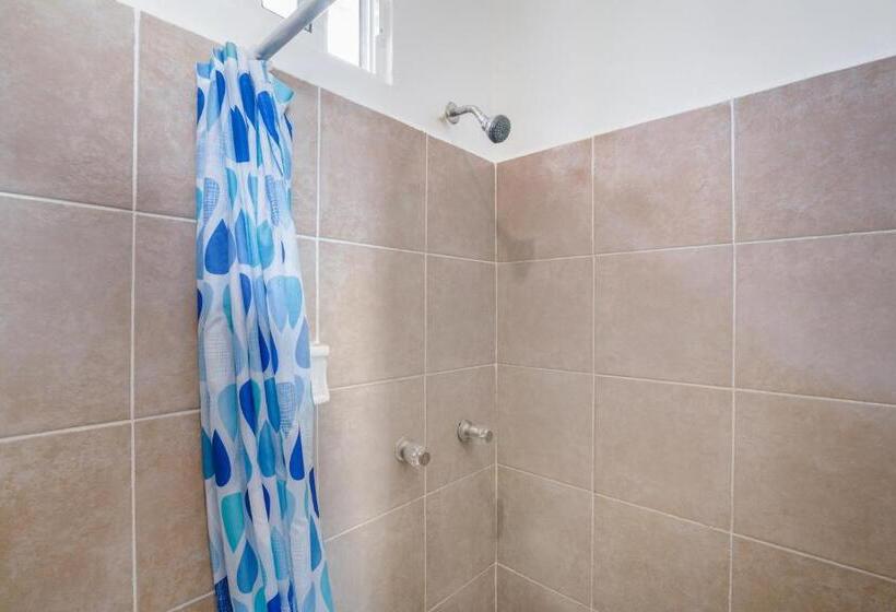 غرفة أساسية فردية, OYO Hotel Palma Real