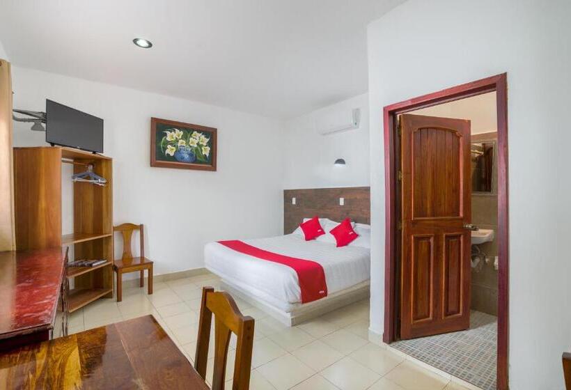 غرفة أساسية فردية, OYO Hotel Palma Real