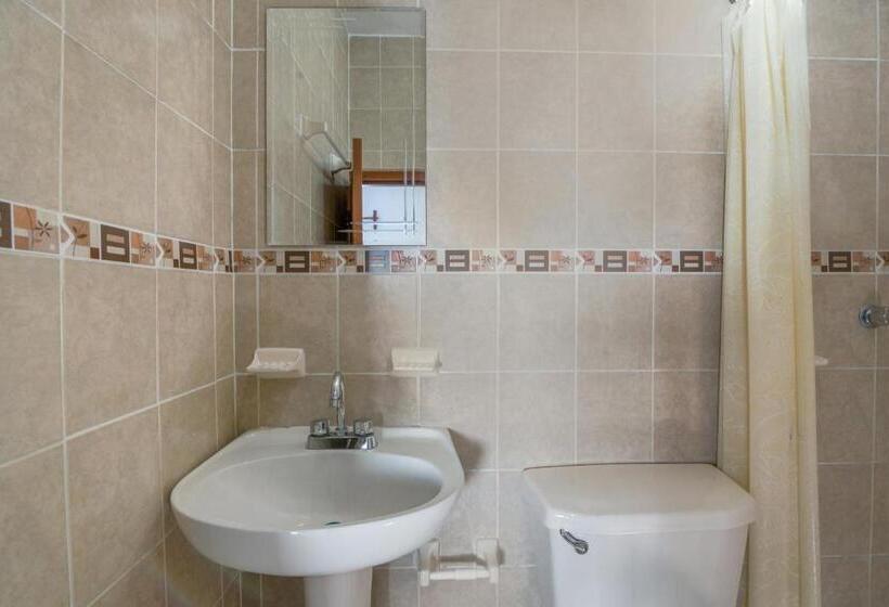 غرفة قياسية, OYO Hotel Palma Real