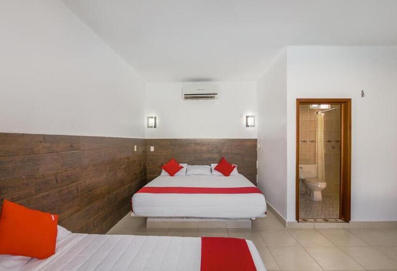 غرفة قياسية, OYO Hotel Palma Real