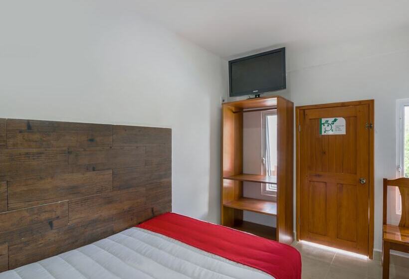 Quarto Estandar, OYO Hotel Palma Real