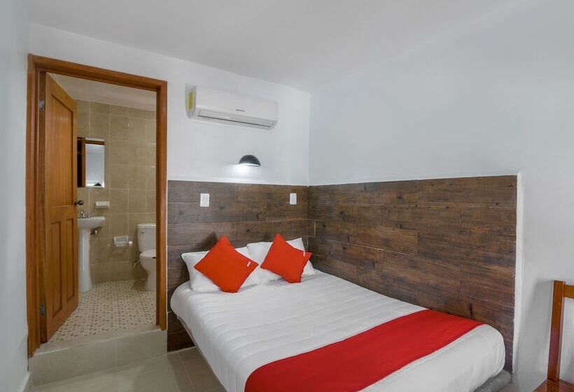 스탠다드 룸, OYO Hotel Palma Real