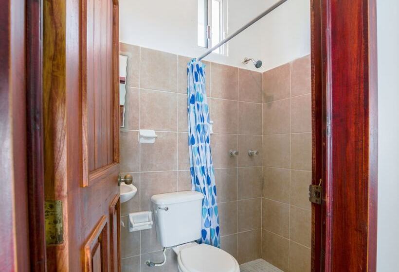 غرفة أساسية فردية, OYO Hotel Palma Real