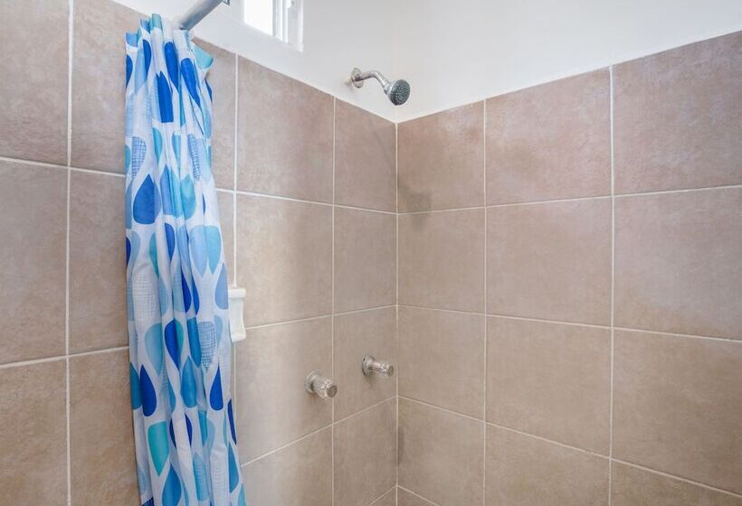 غرفة أساسية فردية, OYO Hotel Palma Real