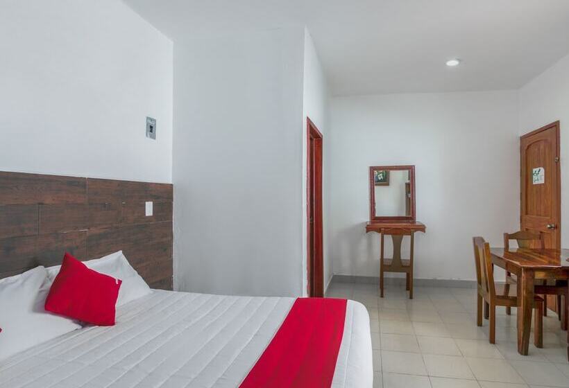 غرفة أساسية فردية, OYO Hotel Palma Real