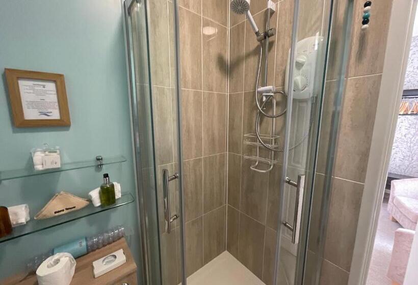 스탠다드 룸 킹사이즈 침대, Merritt Guest House B&b