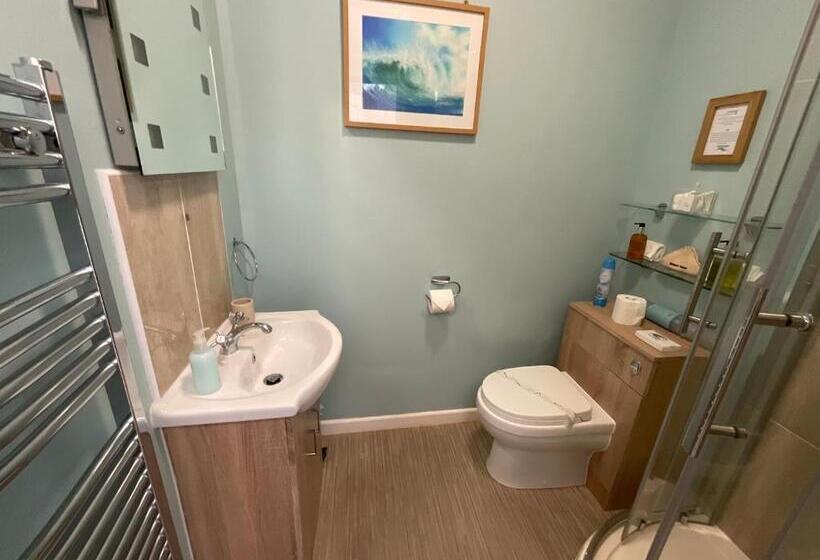 스탠다드 룸 킹사이즈 침대, Merritt Guest House B&b