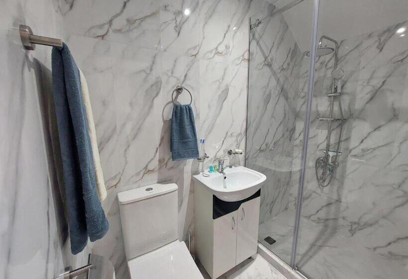 اتاق اکونومی, Areni Lodge