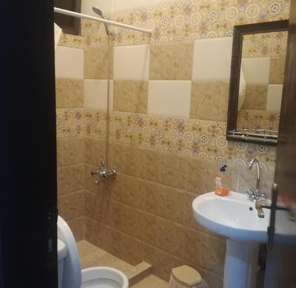 آپارتمان 1 خوابه با تراس, Petracrystal