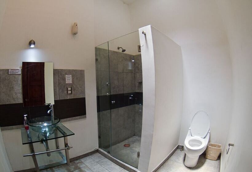 Номер Стандарт, Anabi