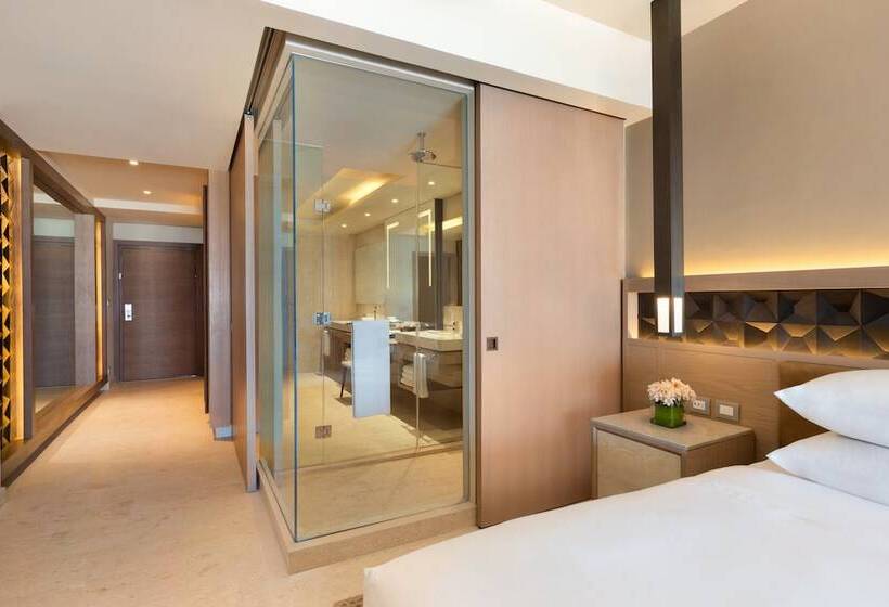 マスタールーム, Hyatt Ziva Cancun