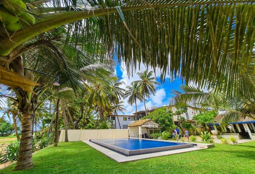 Номер Стандарт, Star Beach Guest House