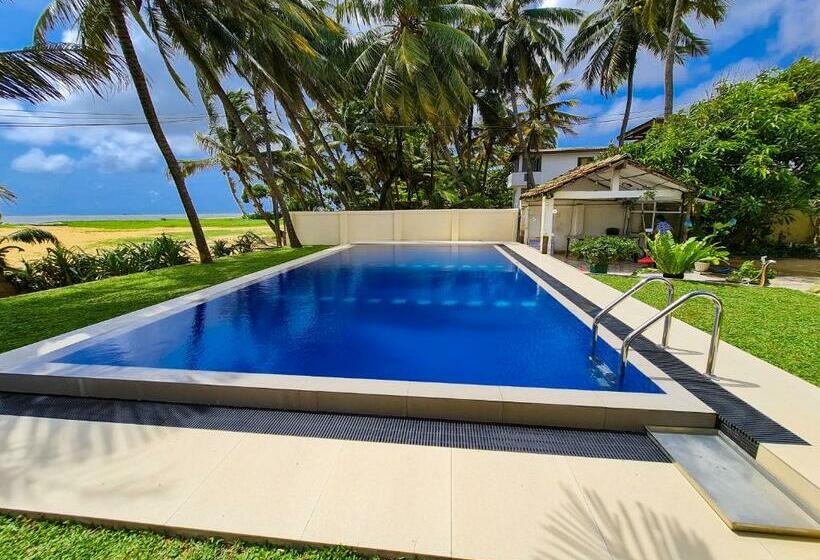 Номер Стандарт, Star Beach Guest House