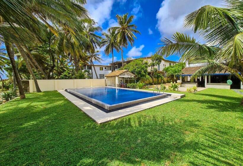 Номер Deluxe Вид на Море с Балконом, Star Beach Guest House