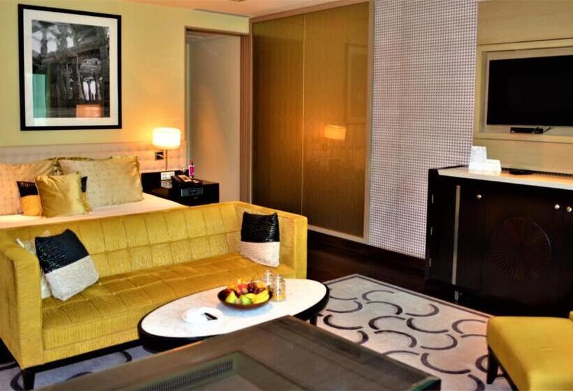 اتاق دلوکس با تخت کینگ و چشمانداز شهر, Taj Santacruz