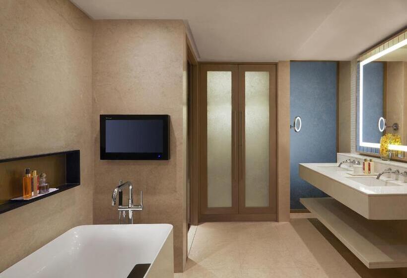 اتاق دلوکس با تخت کینگ و چشمانداز شهر, Taj Santacruz