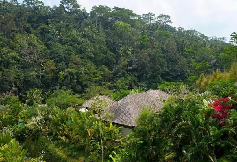 プール付き１ベッドルームヴィラ, Mandapa, A Ritz Carlton Reserve
