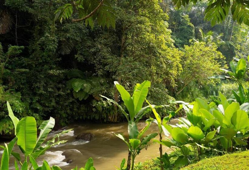 ビラホテル１ベッドルーム, Mandapa, A Ritz Carlton Reserve