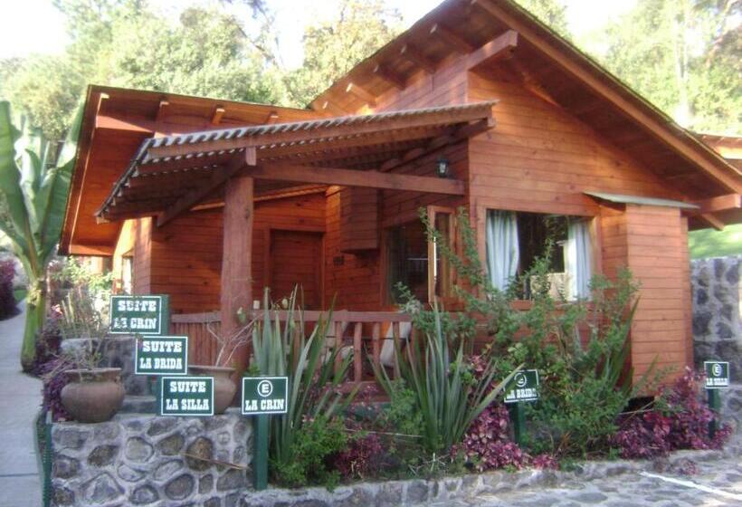 Vilă Superioară cu 1 Dormitor, Cabanas El Estribo