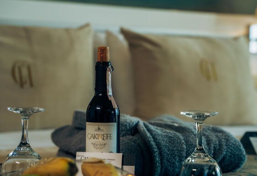 اتاق استاندارد, Castival Hotel - All Inclusive