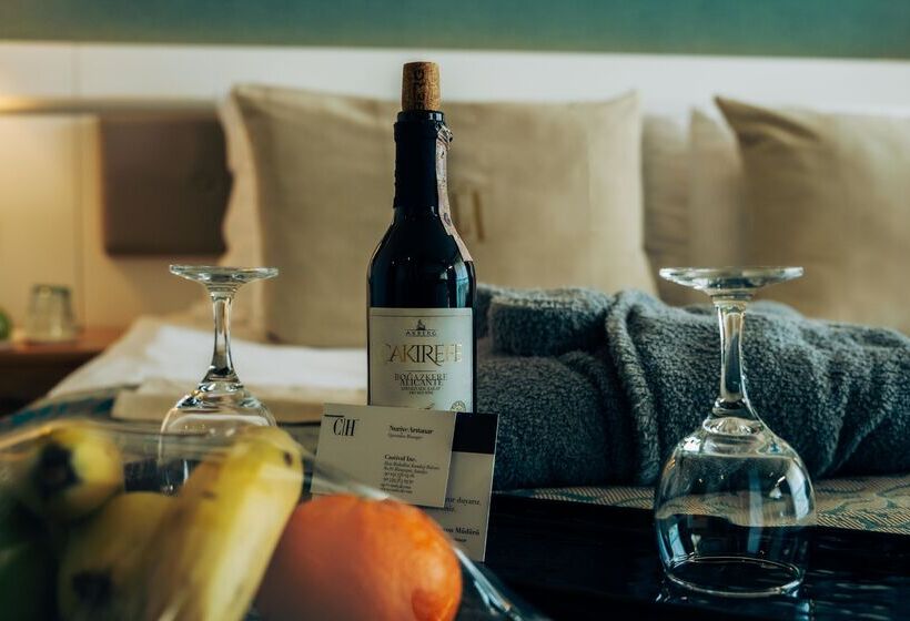 اتاق استاندارد, Castival Hotel - All Inclusive