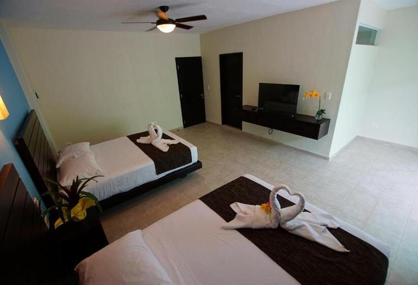 اتاق لوکس سه تخته, Angelo S