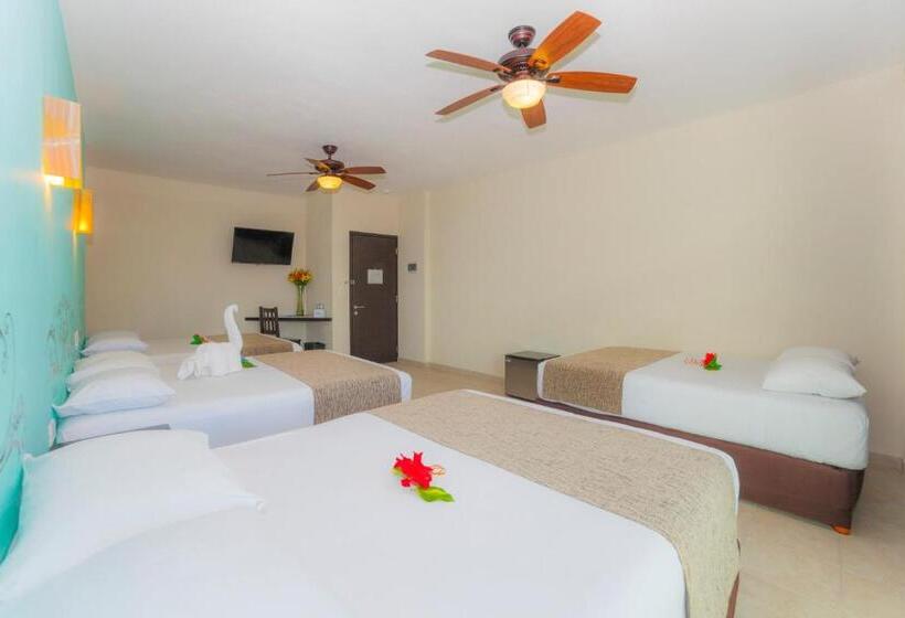 اتاق لوکس چهار تخته, Angelo S