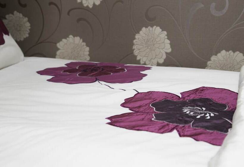 Номер Стандарт Индивидуальный, Ashfield