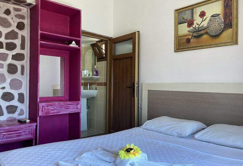 Номер Стандарт, Can