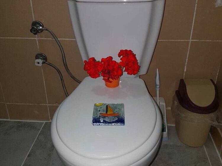 Номер Стандарт, Can