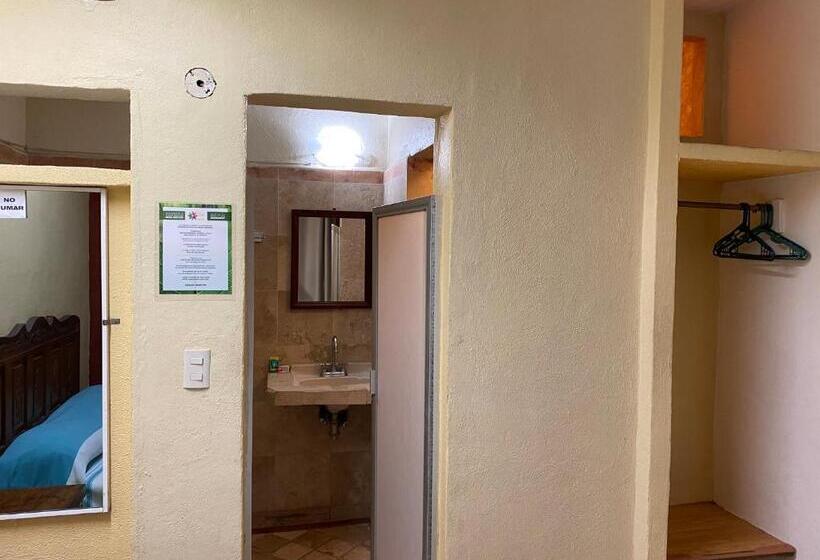 חדר בסיסי, Hortencia