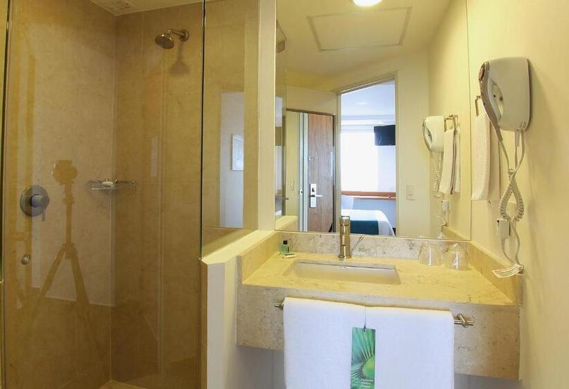 غرفة سوبيريور, One Cuernavaca