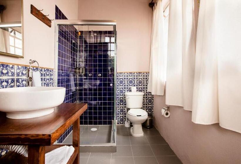 デラックスルーム, Selina San Miguel De Allende