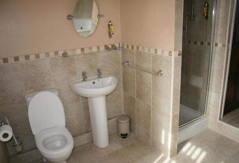 Pokój Deluxe Łóżko King Size, The Manor Guest House