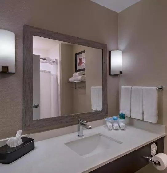 スタンダードルーム, Holiday Inn Express & Suites Austin Nw Four Points, An Ihg