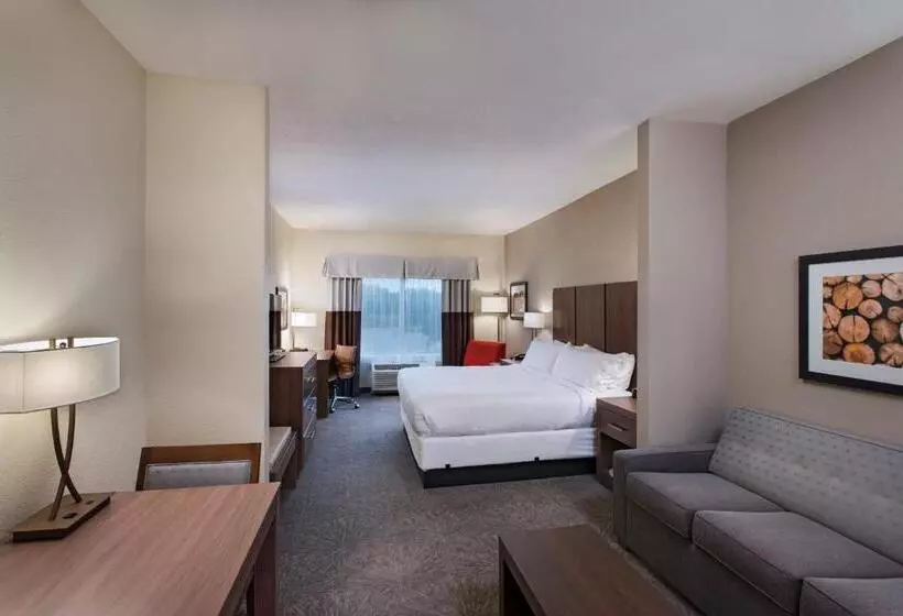 スイート, Holiday Inn Express & Suites Austin Nw Four Points, An Ihg