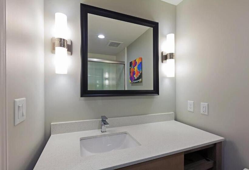 带大床的标准间, Holiday Inn Houston Ne Bush Airport Area, An Ihg